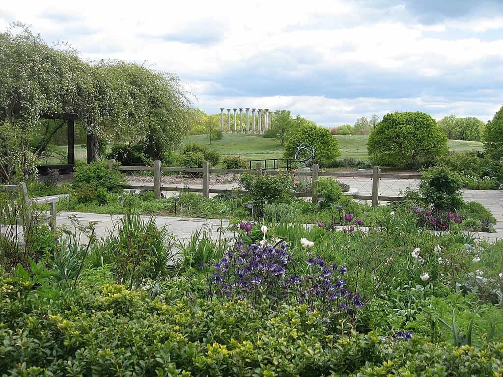 Herb_Garden_at_National_Arboretum_in_April_(14450623140)
