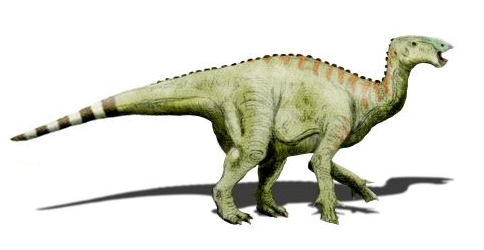 Wadhurstia Hypselospinus dinosaur