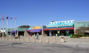 Indianapolis Zoo: Ideal Time to Go + 32 Amazing Animals to See Picture