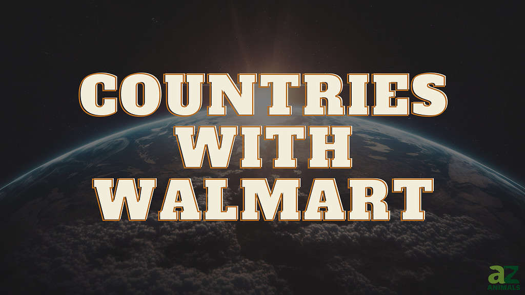 19 Countries That Have Walmart In 2024 A Z Animals   Red Colorful Tips Youtube Thumbnail 11 1 1024x576 