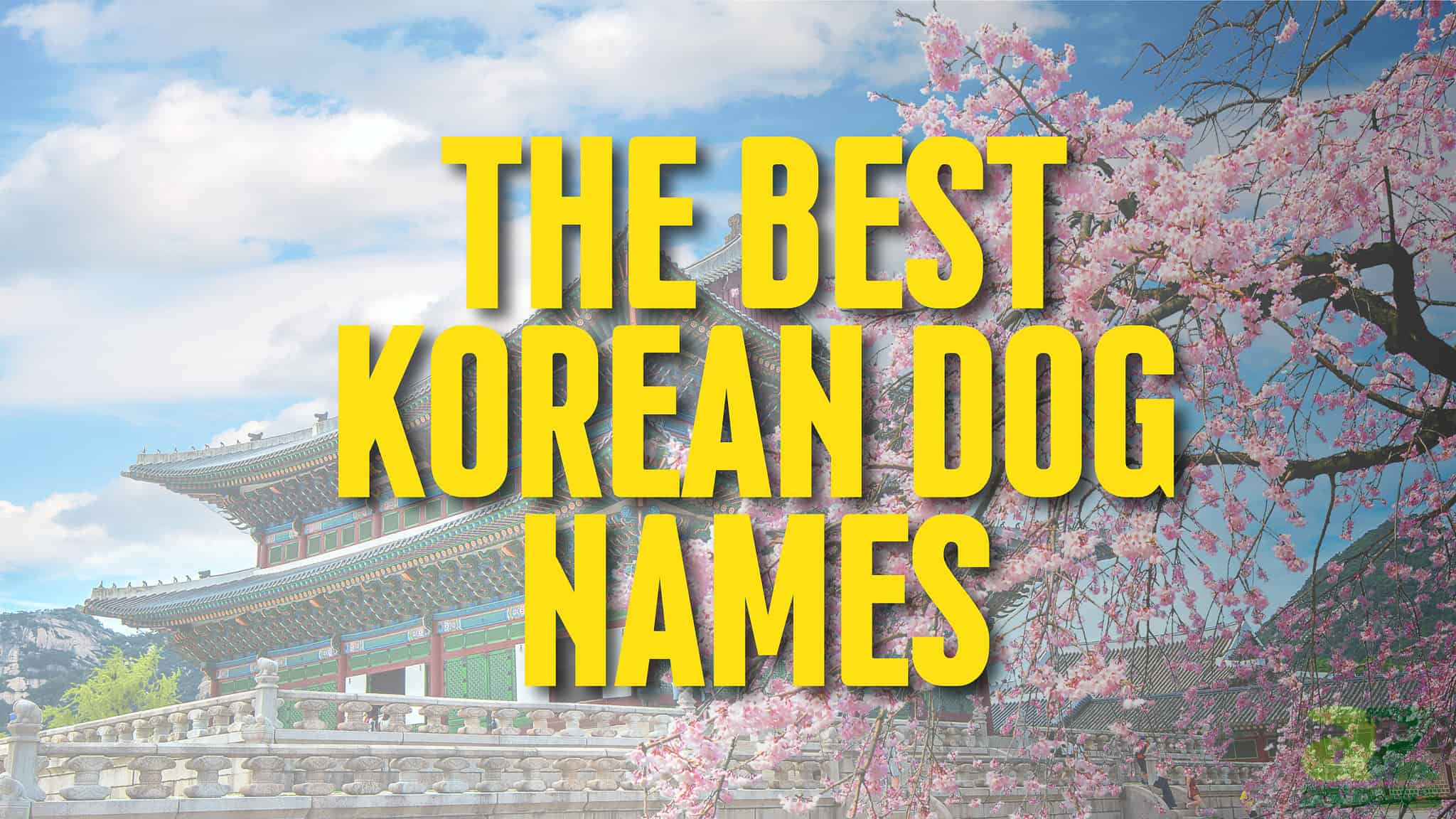 The 231 Best Korean Dog Names and Their Meanings
