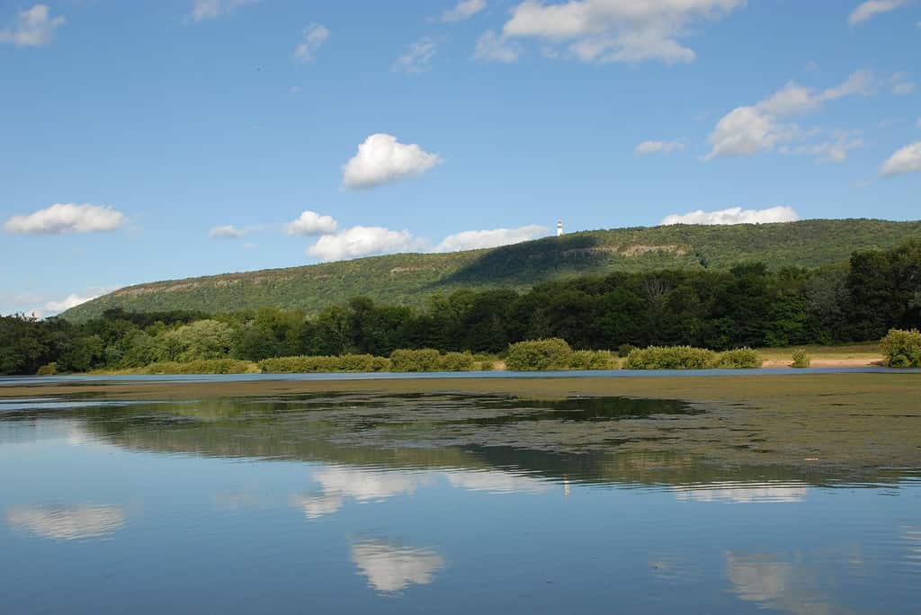 View of Talcott Mountain from Nod Brook Wildlife Area