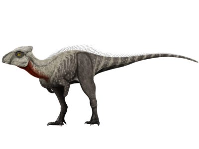 A 13 Incredible Dinosaurs That Start With W