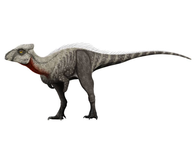 Wannanosaurus yansiensis dinosaur