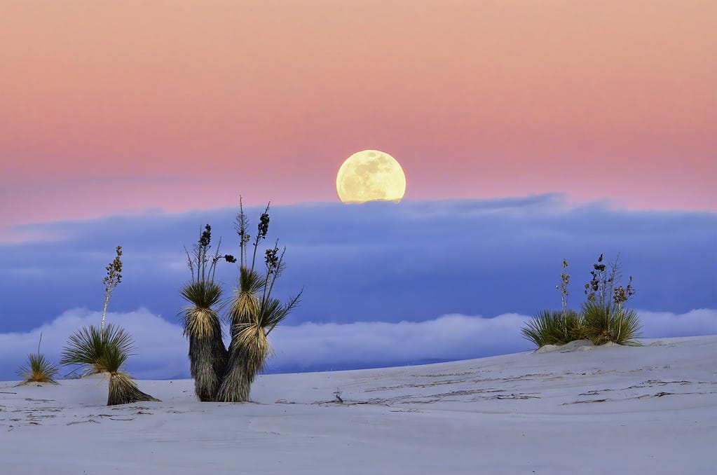 White Sands National Park NM moonrise
