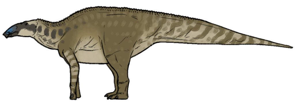 Wulagasaurus dinosaur reconstruction