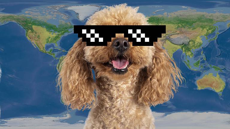 Coolest Animals