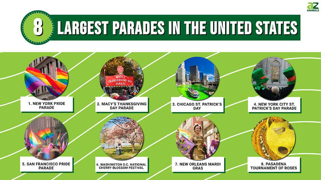 8 Largest Parades in the United States