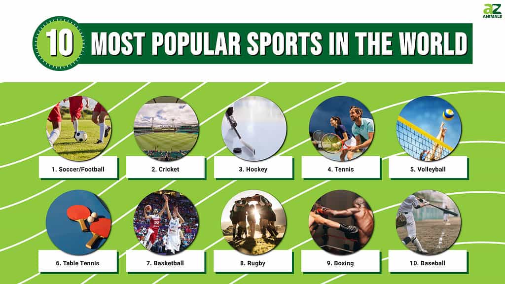 10 Most Popular Sports in the World