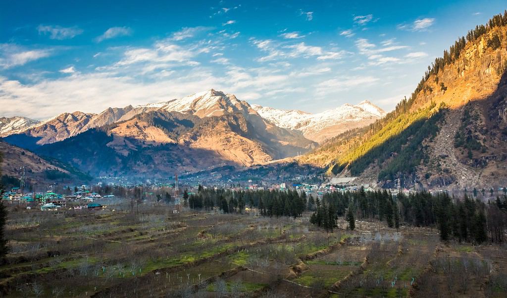 Apple orchards in winter against snow clad Himalayas in Manali in Himachal Pradesh, India