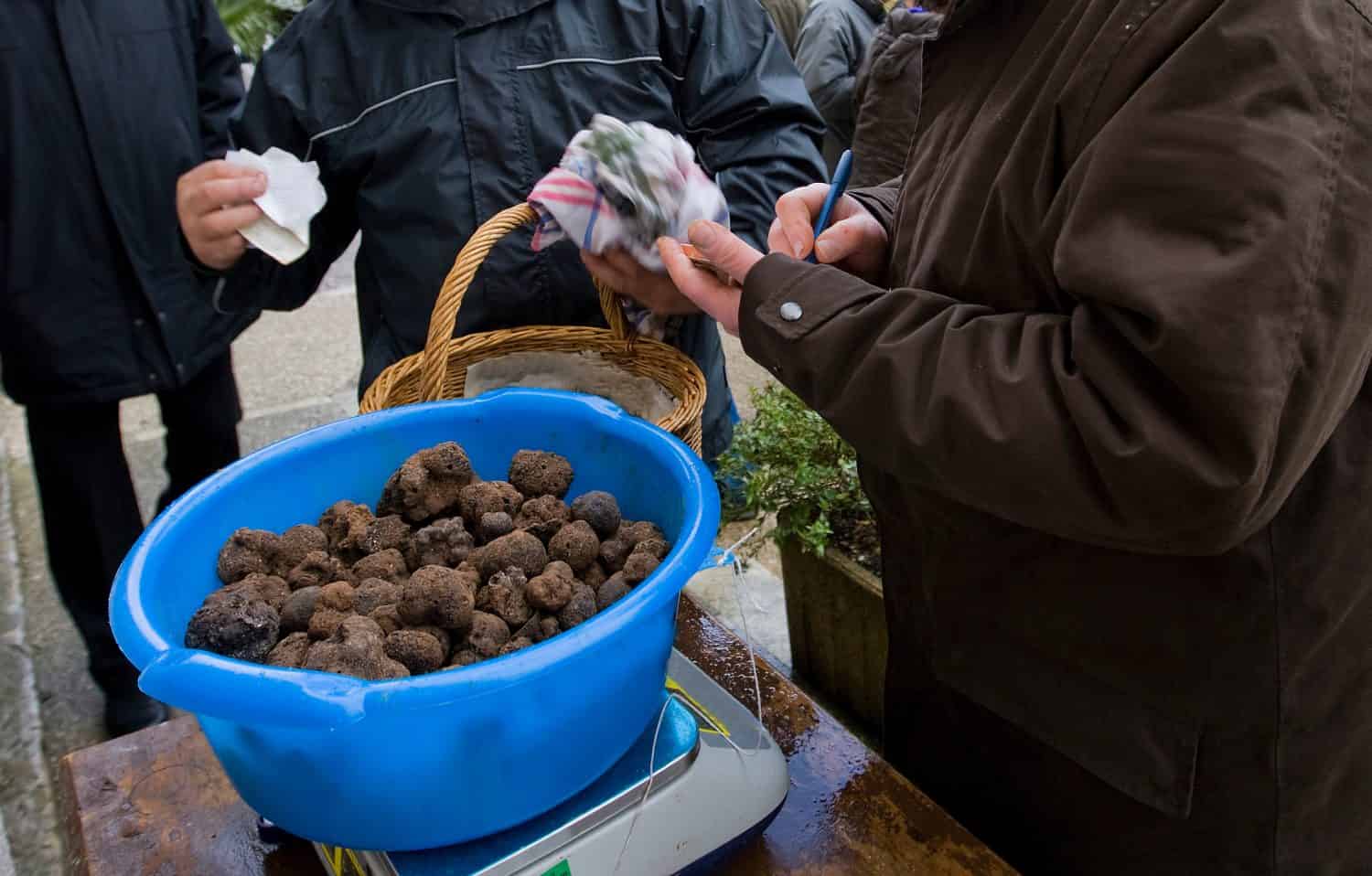 Traditional black truffle market in Lalbenque, France