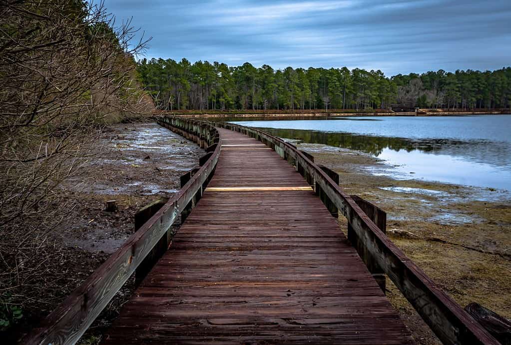 Wooden boardwalk in Cheraw State Park,South Carolina,USA.