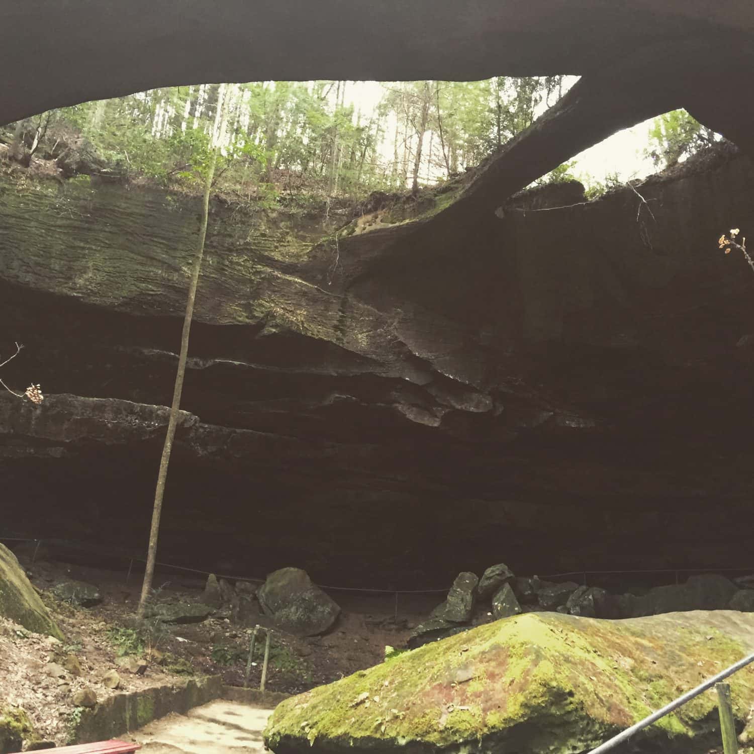 Cave in Muscle Shoals, Alabama.