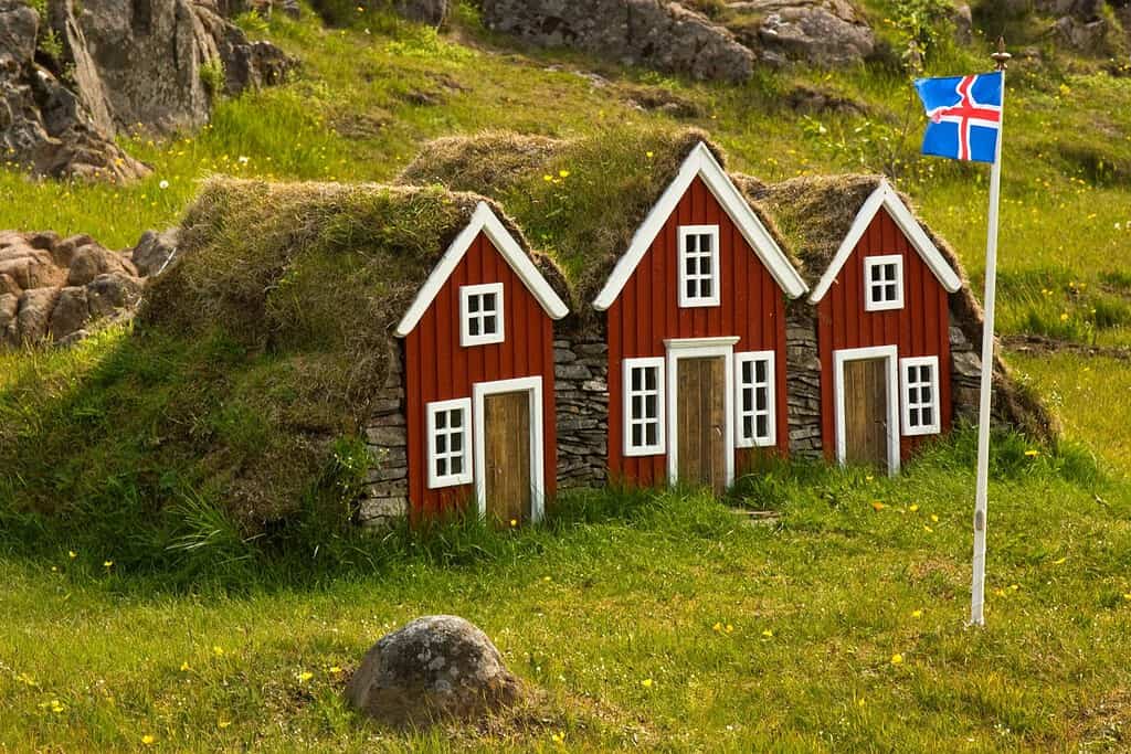 Icelandic houses with a flag of Iceland