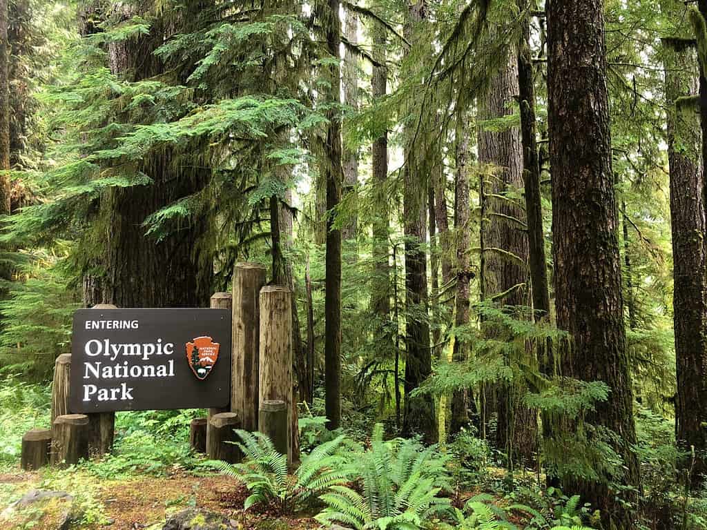 Olympic National Park sign in Washington