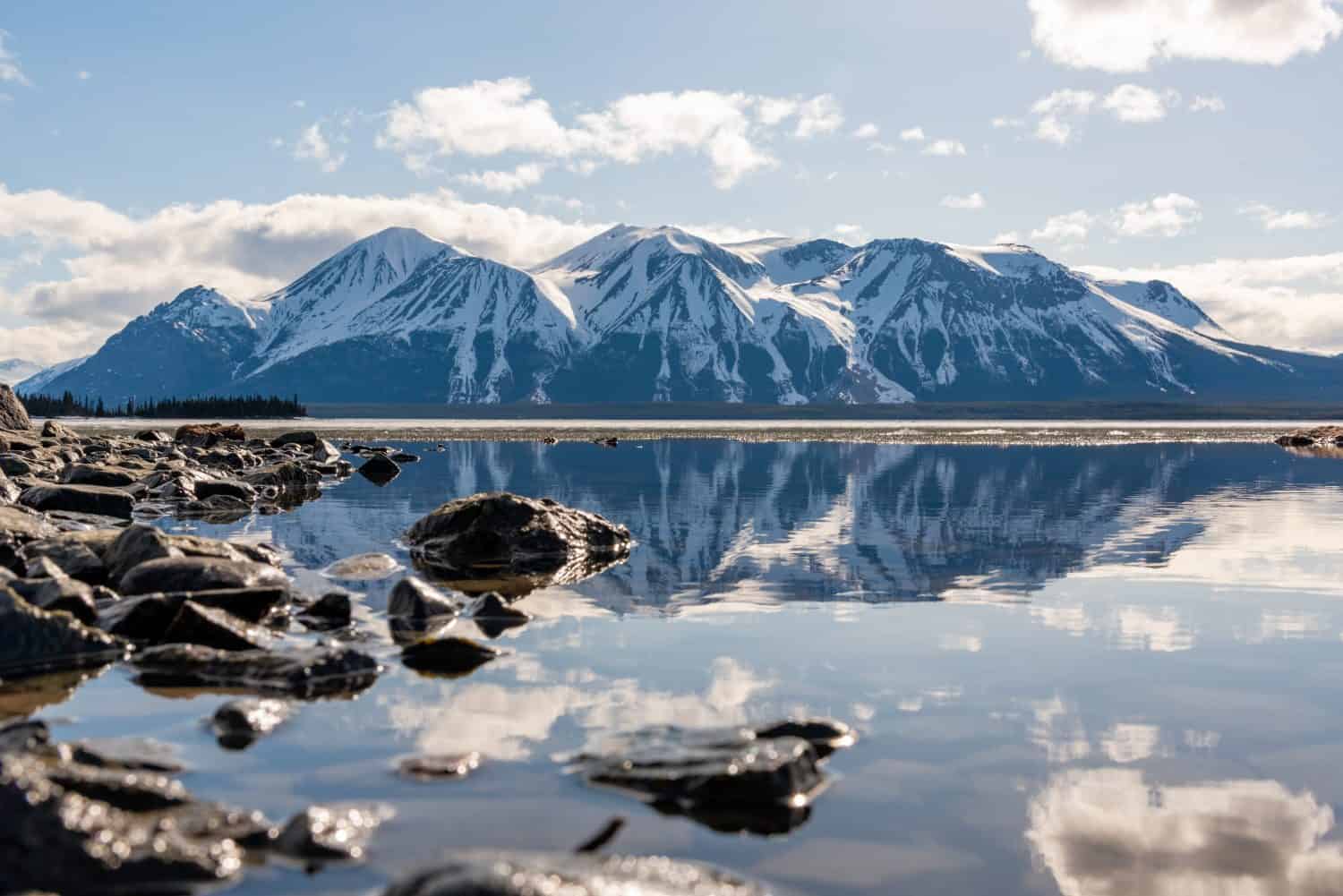 Stunning view of the Atlin Mountains in northern British Columbia during spring time on perfect blue sky day with clouds and reflection in calm water below. Scenic, view for home, office art. 