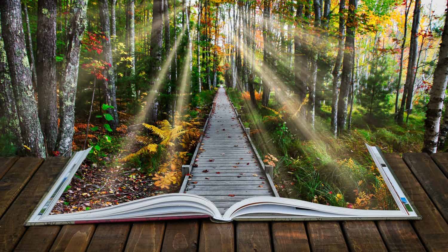 Open book on wooden deck with boardwalk autumn view in Acadia National Park in Maine with artificial sun rays