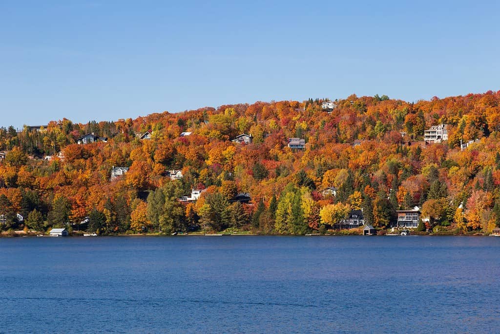 Houses nestled in colourful fall foliage on the side of a mountain overlooking a lake, Lac-Beauport, Quebec, Canada