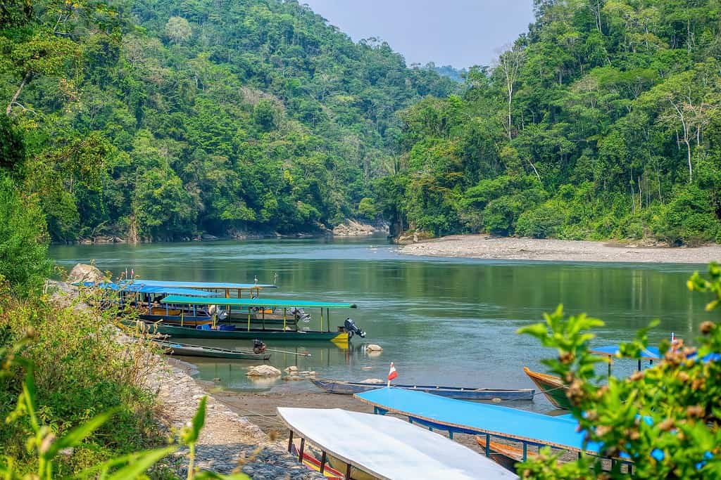 Passenger boats moored along the shore of the Madre de Dios River in the Cultural Zone of Manu National Park, Peru, the starting point for tours into the park, a place rich with biodiversity.