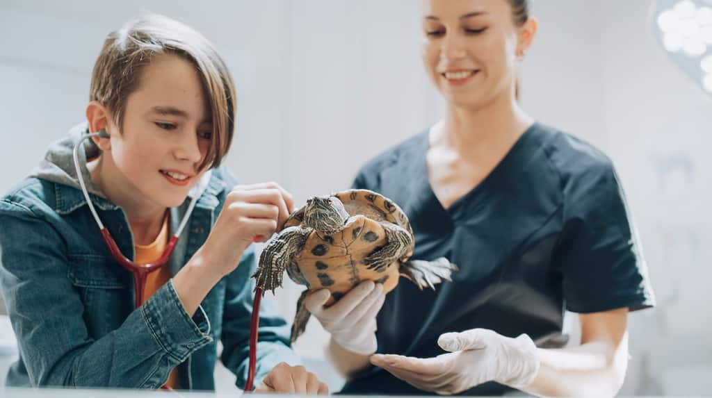 School Visit to a Modern Veterinary Clinic Facility. Young Handsome Boy is Given an Opportunity to Use a Stethoscope and Listen to Amplified Turtle's Internal Body Sounds