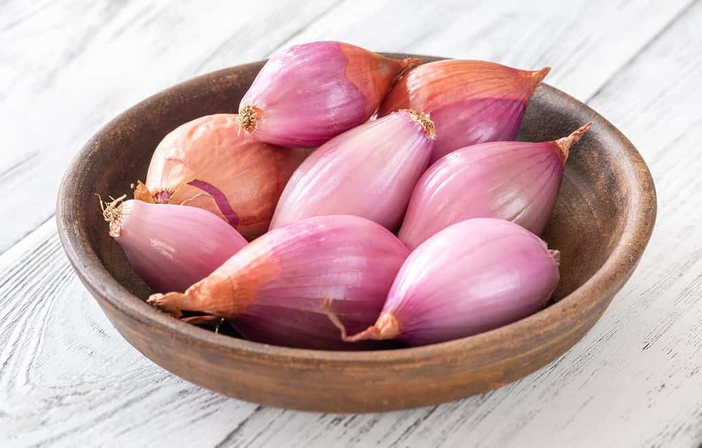 Bowl of shallot onions on the wooden background