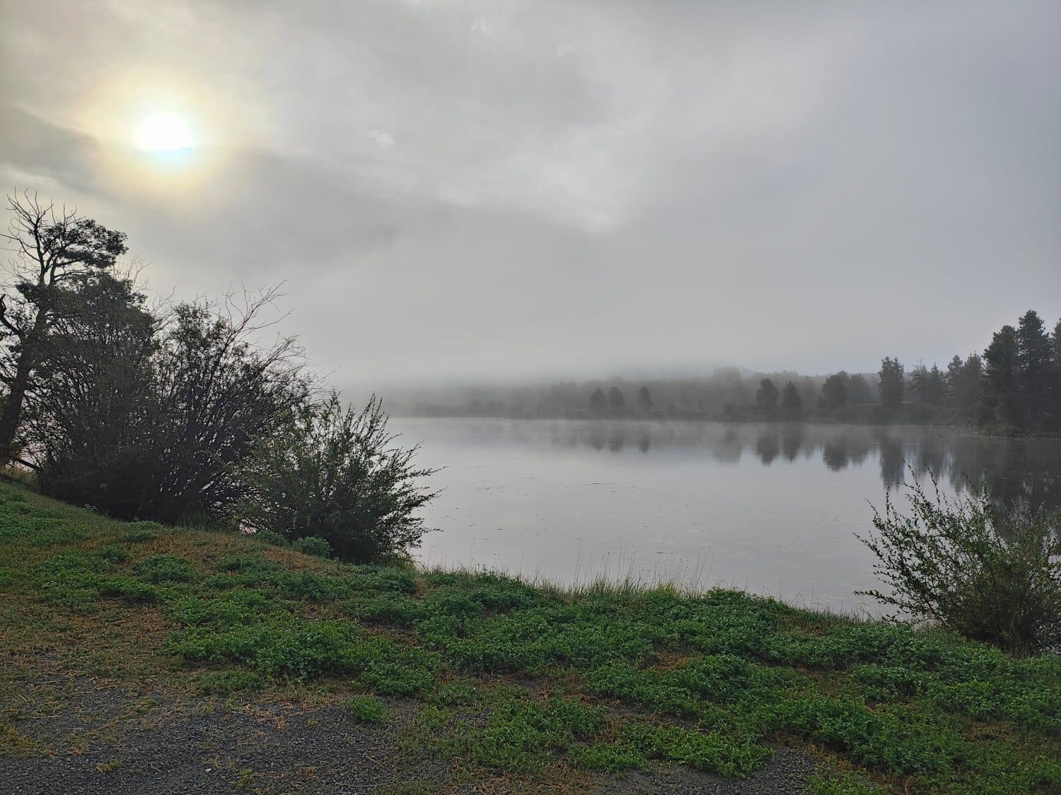 Morning mist at Tatla Lake, British Columbia