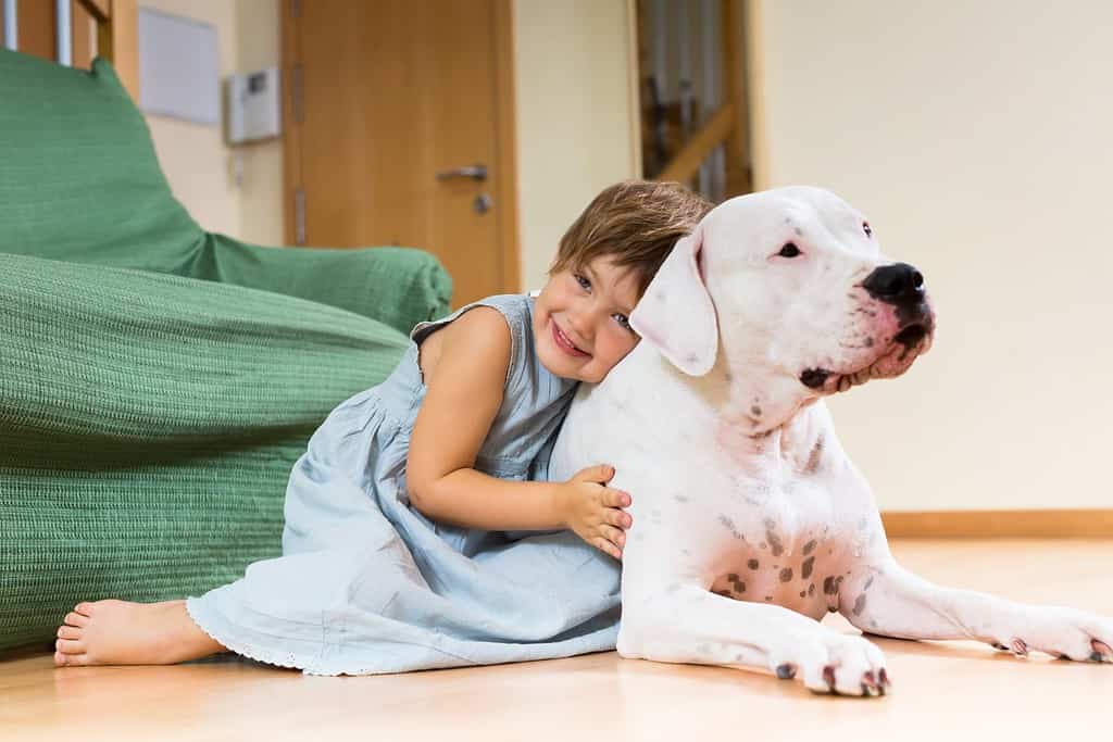 Happy girl toddler on the floor with dogo Argentino