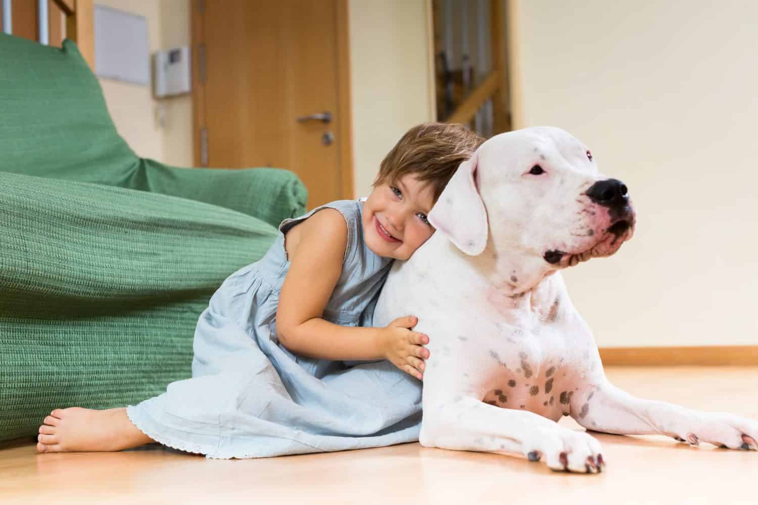 Happy girl toddler on the floor with dogo Argentino