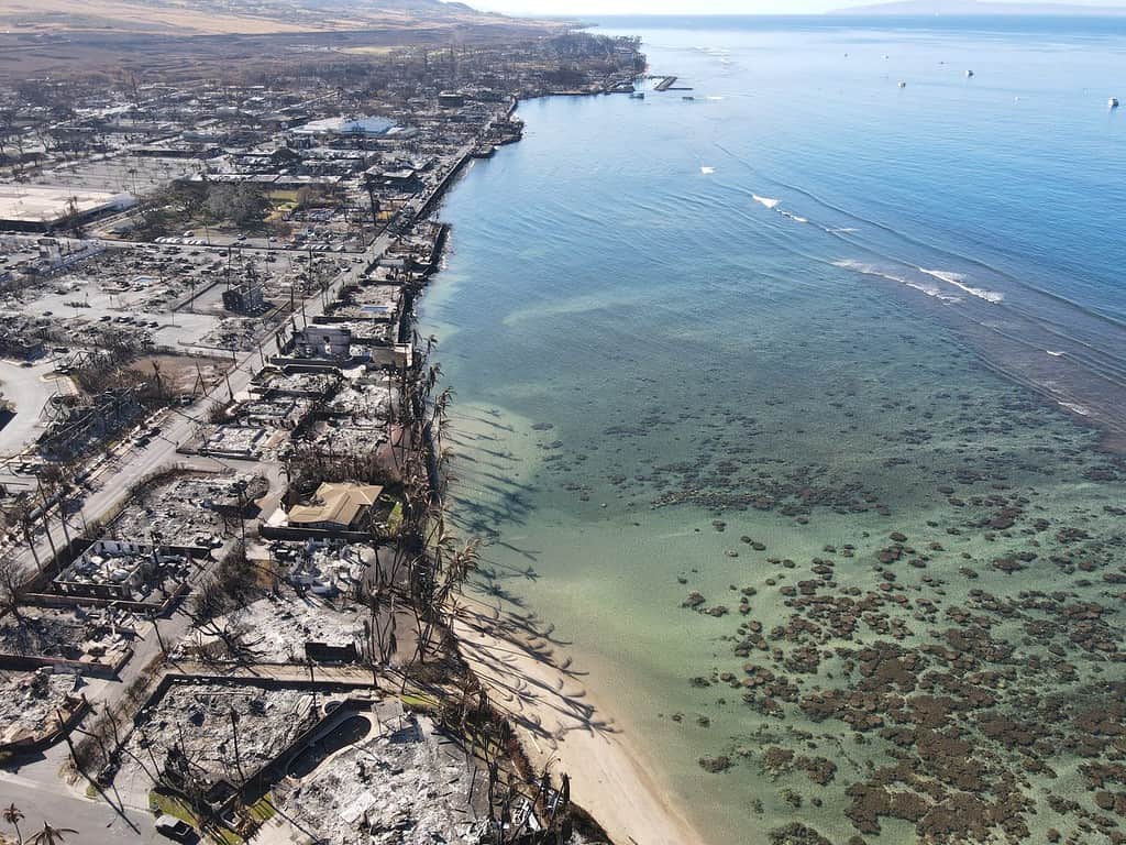 On August 8, 2023, a huge fire destroyed almost all of Lahaina on Maui in Hawaii.