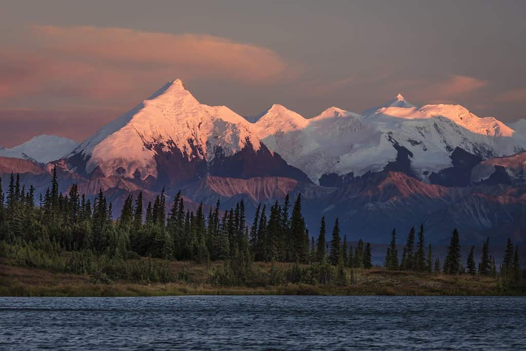 AUGUST 29, 2016 - Sunset on Mount Denali previously known as Mount McKinley, the highest mountain peak in North America, at 20, 310 feet. Alaska Mountain Range, Denali National Park and Preserve.