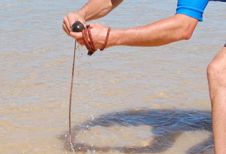 Catching beach worms, Seal Rocks, NSW, Australia