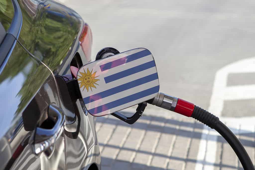 Flag of Uruguay on the car's fuel tank filler flap. Fueling car with petrol pump at a gas station. Petrol station. Gasoline and oil products. Close up.