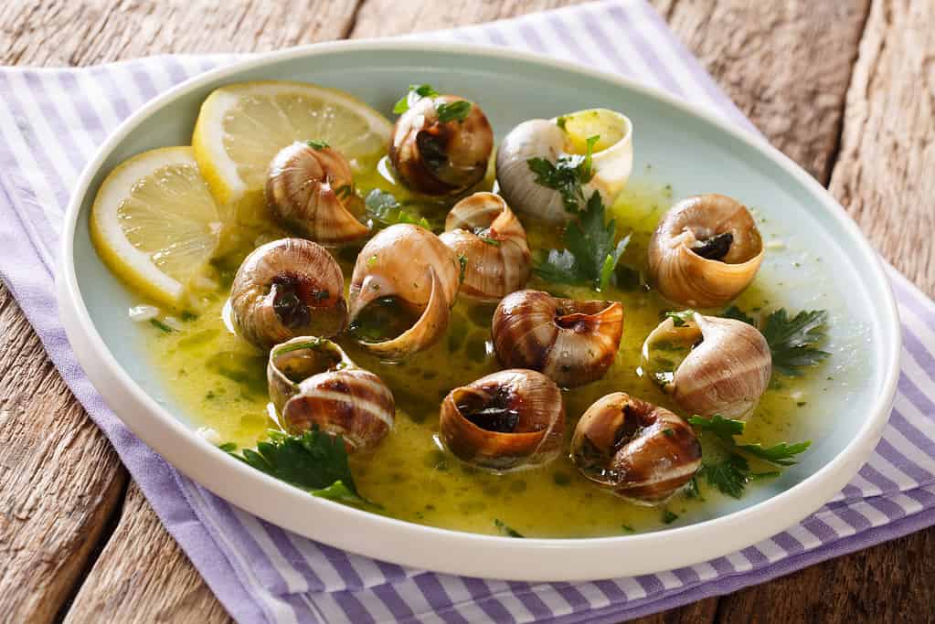 Spicy French snails, escargot cooked with butter, parsley, lemon and garlic close-up on a plate. horizontal