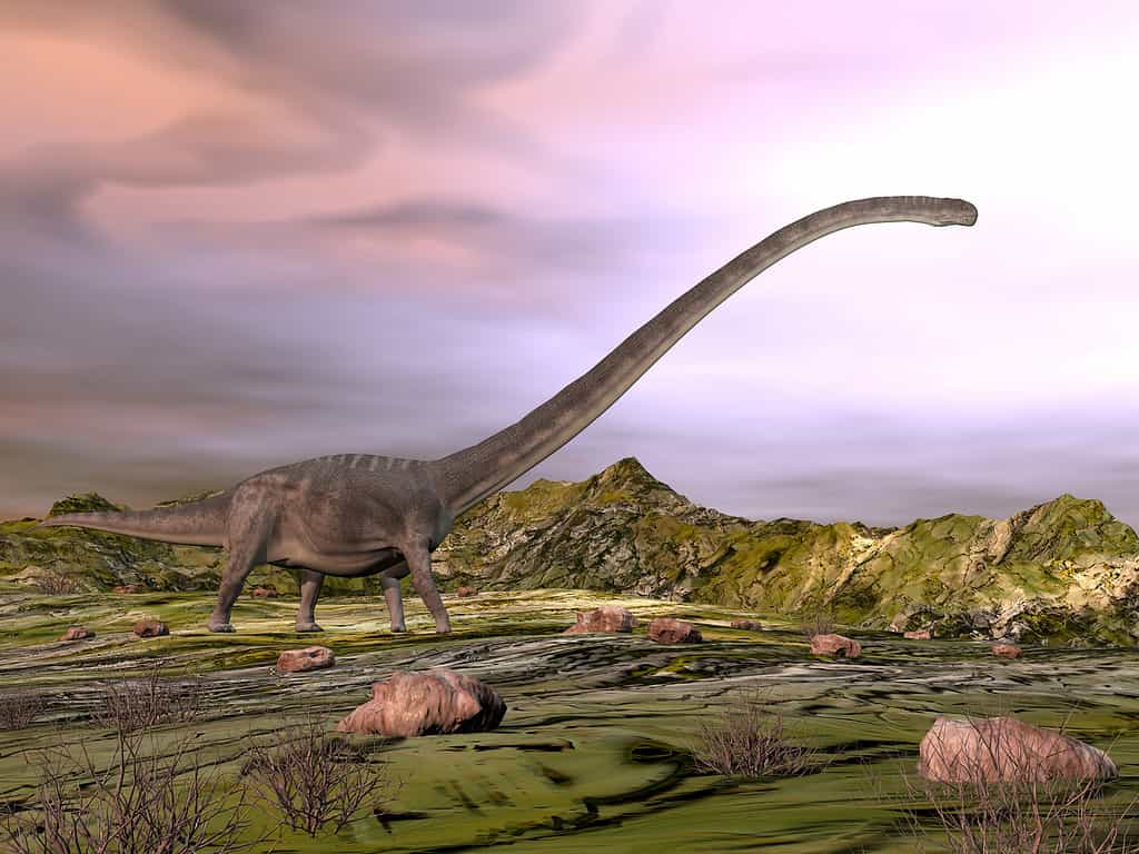 Omeisaurus walking in the desert - 3D render