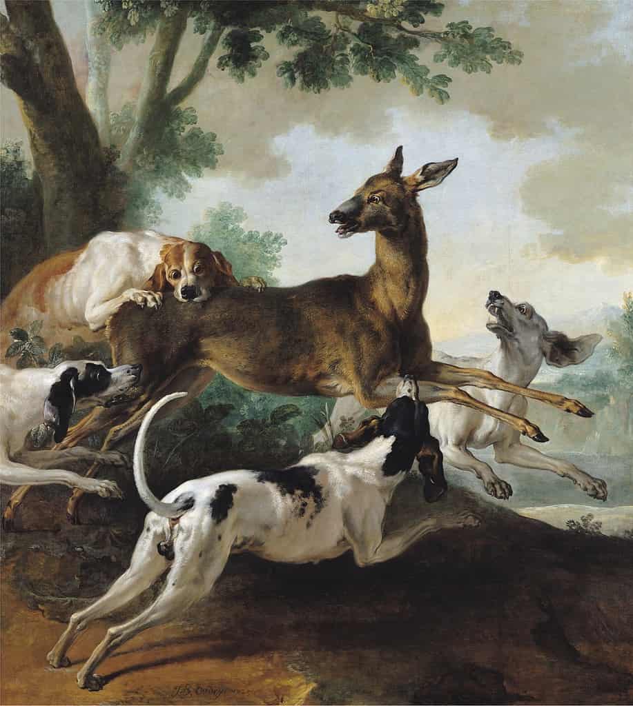 Painting by Jean-Baptiste Oudry: A Deer Chased by Dogs (1725)