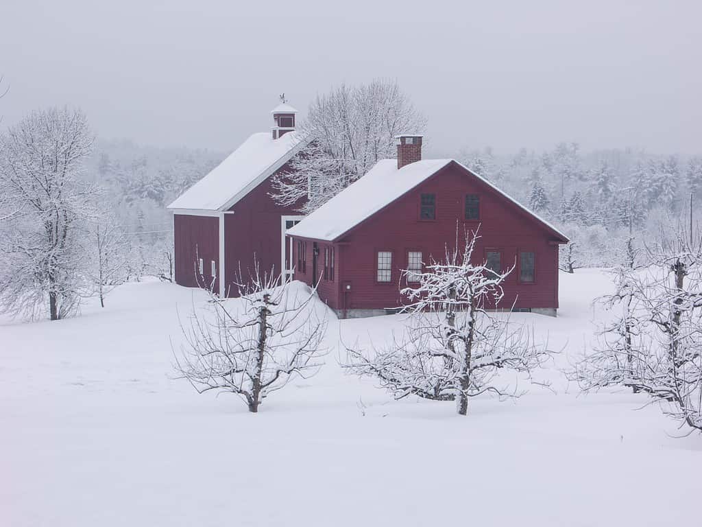 New England winter scene from Londonderry, New Hampshire.