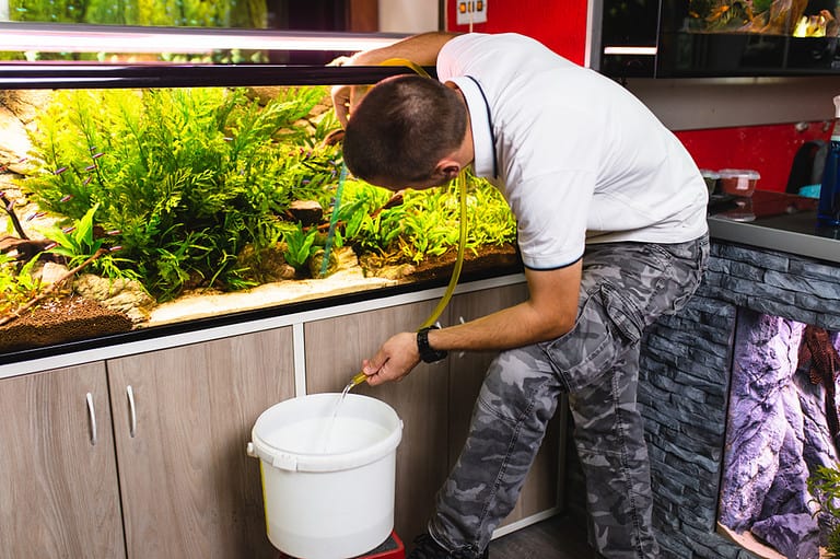 Young man changing water in aquarium using siphon.