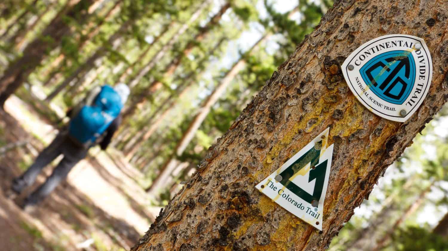 Continental Divide Trail and Colorado Trail Signs on a Tree