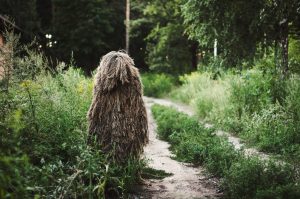 10 Indiana Cryptids: Appearance, Behavior, and Location Picture