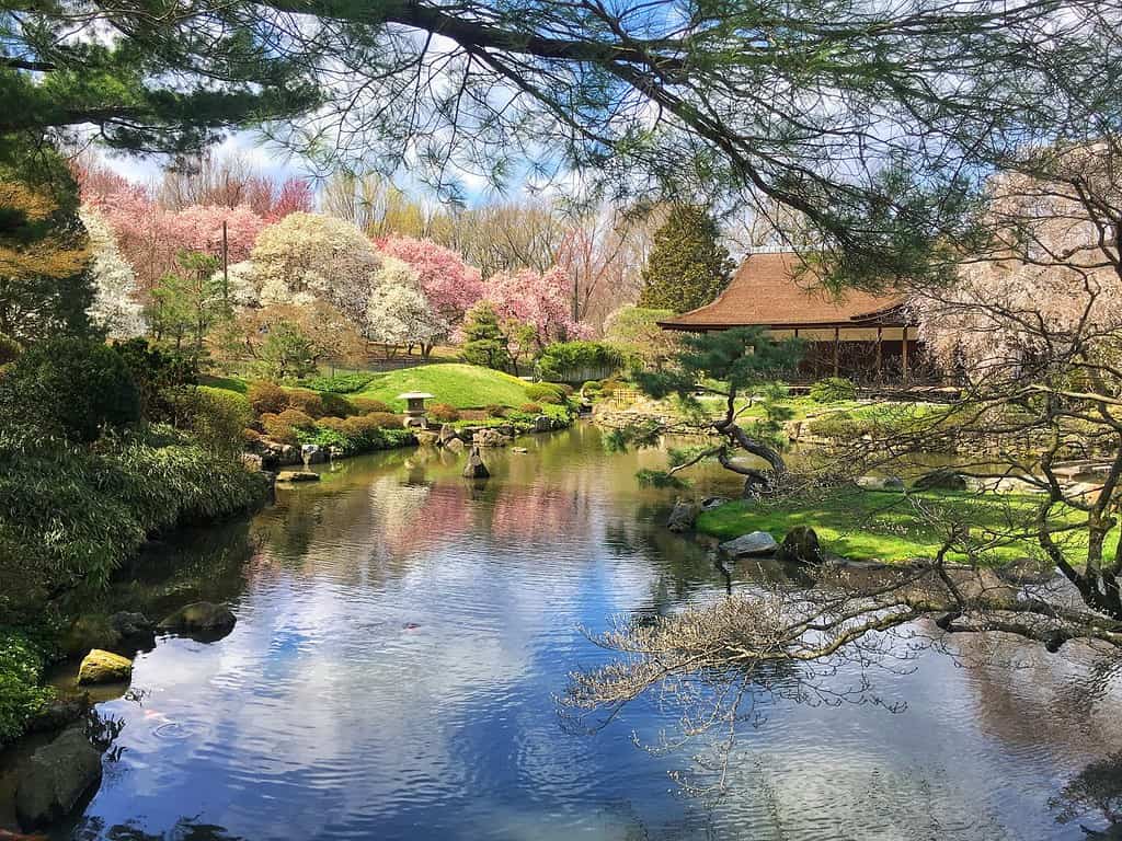 Shofuso Japanese House and Garden . The traditional-style Japanese house and nationally ranked garden reflect the history of Japanese culture in the city, Philadealphia