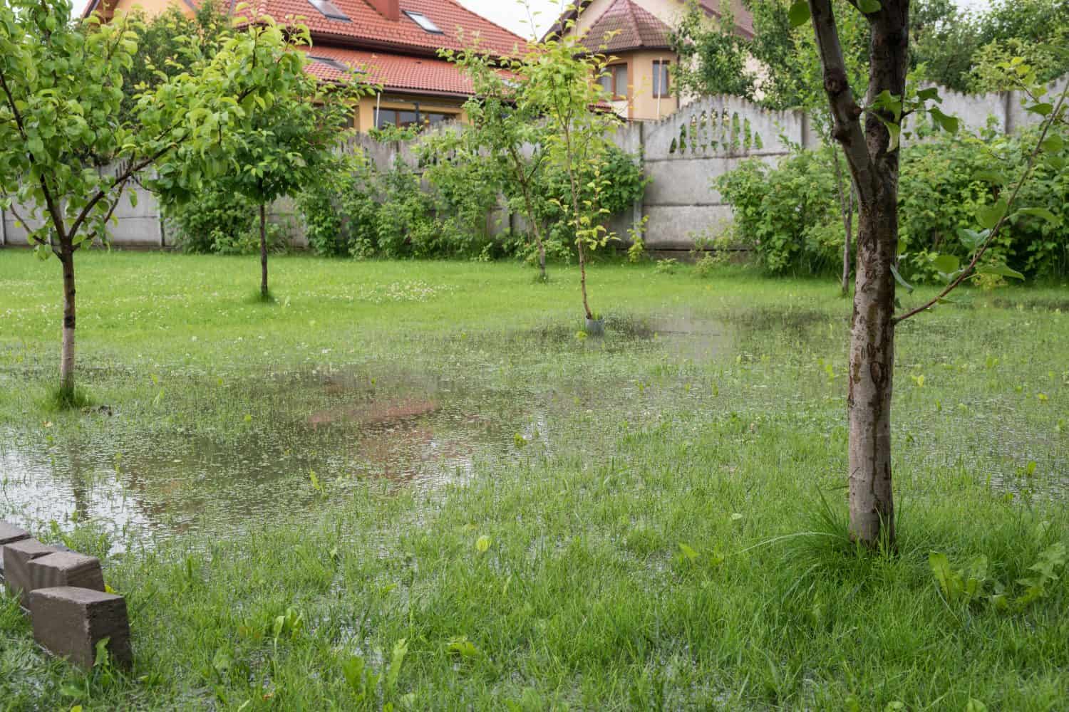 The garden is flooded. Consequences of downpour, flood. Rainy summer in Ukraine, 2020.