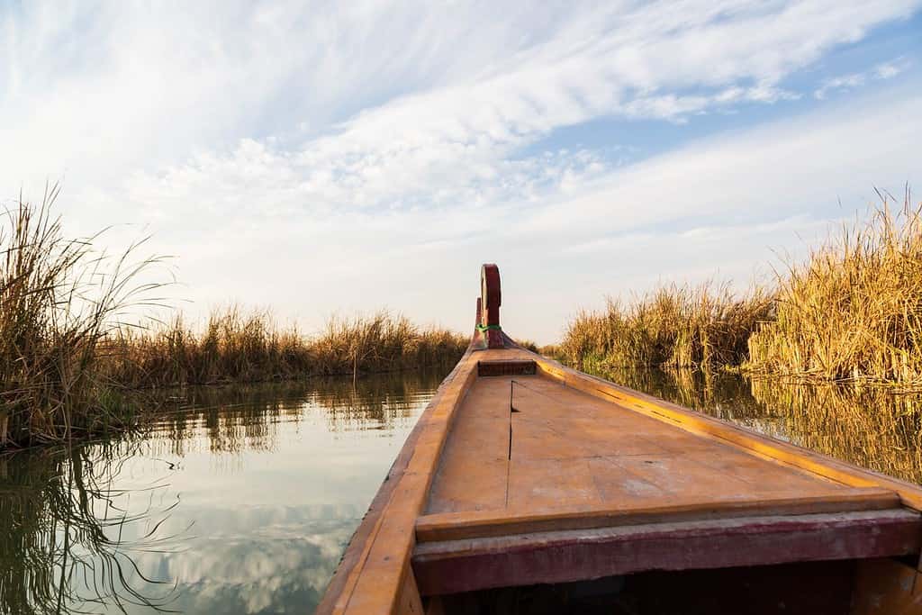 Boat in the marshes in Iraq