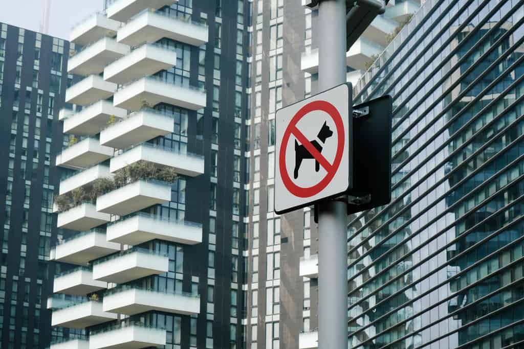 No dogs allowed sign near Milan's Piazza Gae Aulenti. Urban restriction, pet regulation, cityscape