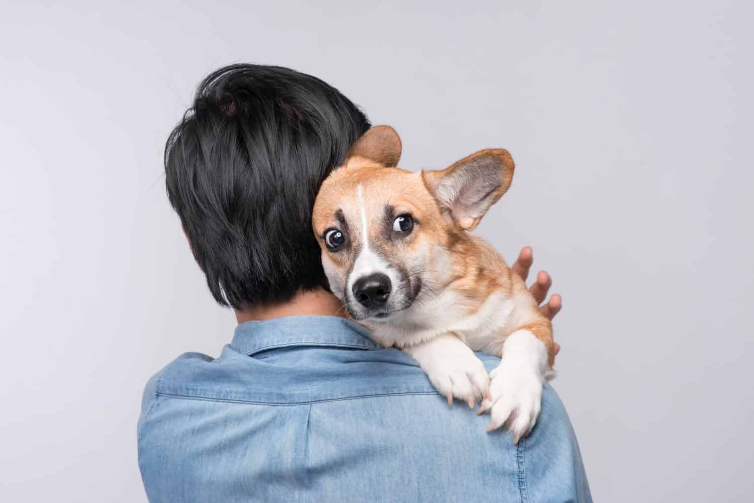 A man snuggling and hugging his dog, close friendship loving in studio background