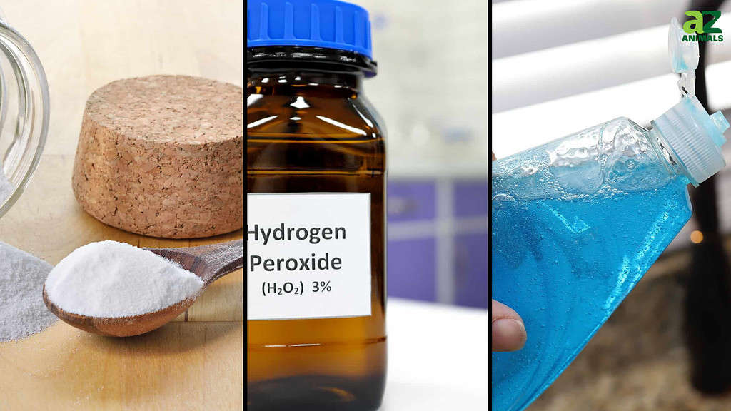 baking soda / hydrogen peroxide / dish soap
