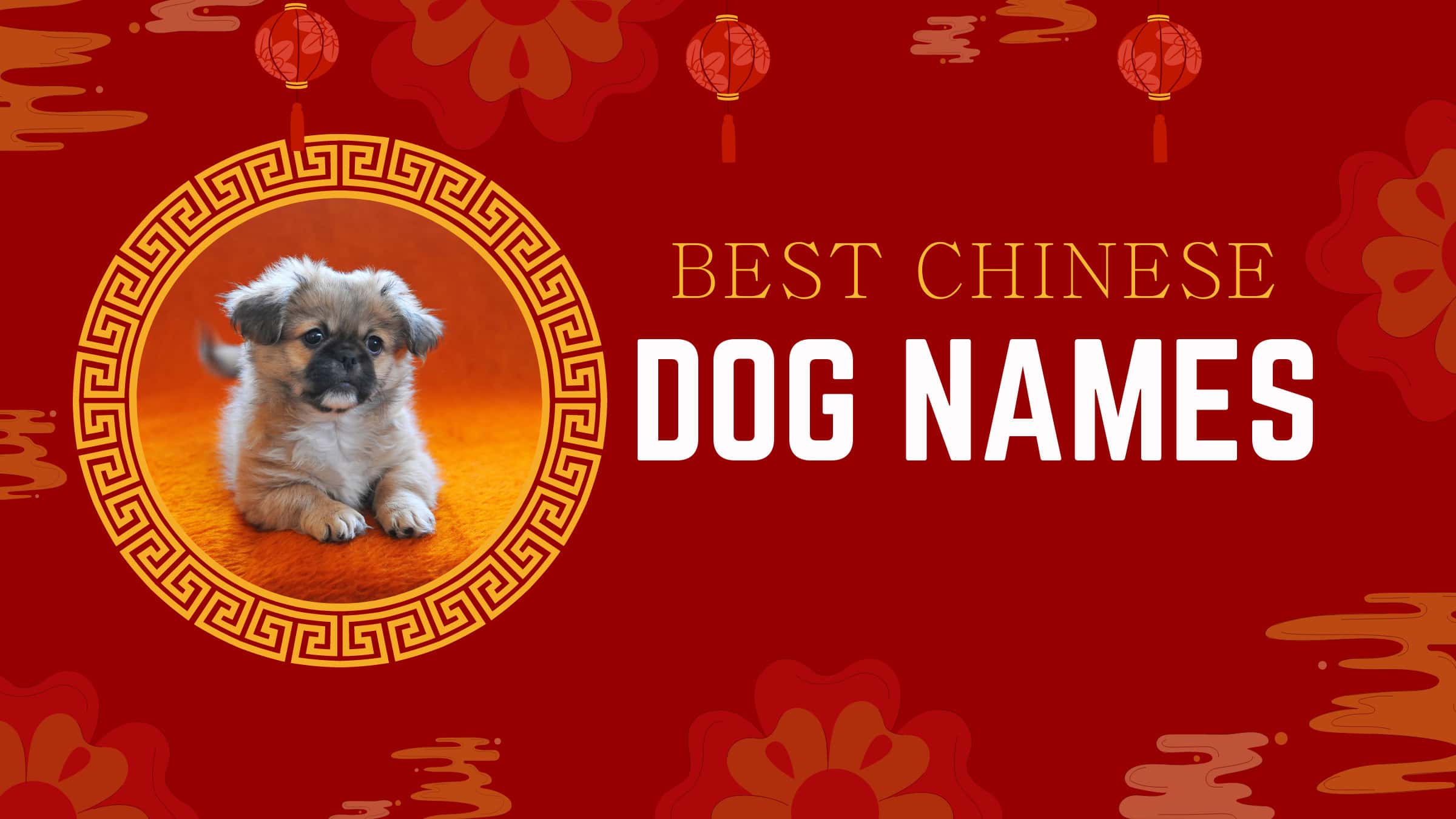 250-amazing-chinese-dog-names-and-their-meanings-a-z-animals