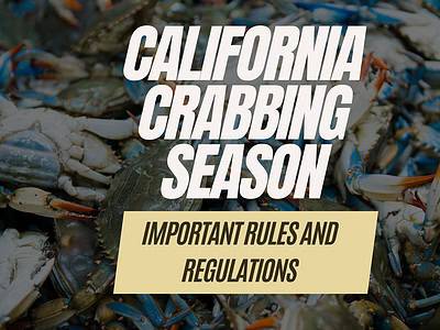 A California Crabbing Season: Timing, Bag Limits, and Other Important Rules