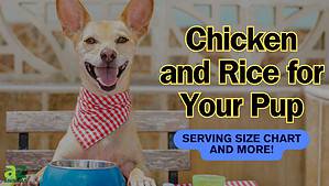 This is How Much Chicken and Rice You Can Feed a Dog (Chart by Size and Weight) Picture