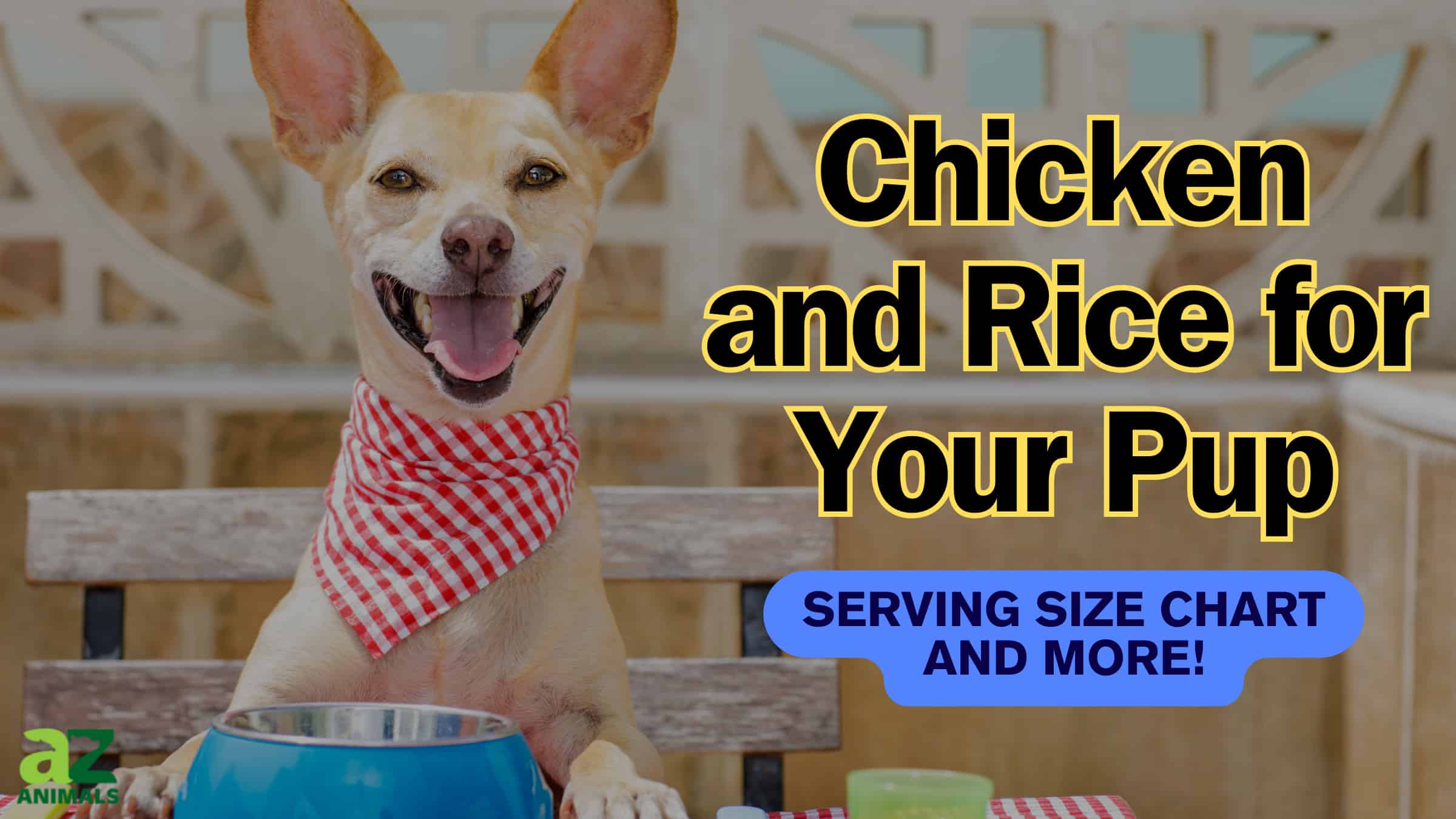 Chicken and Rice for Dogs