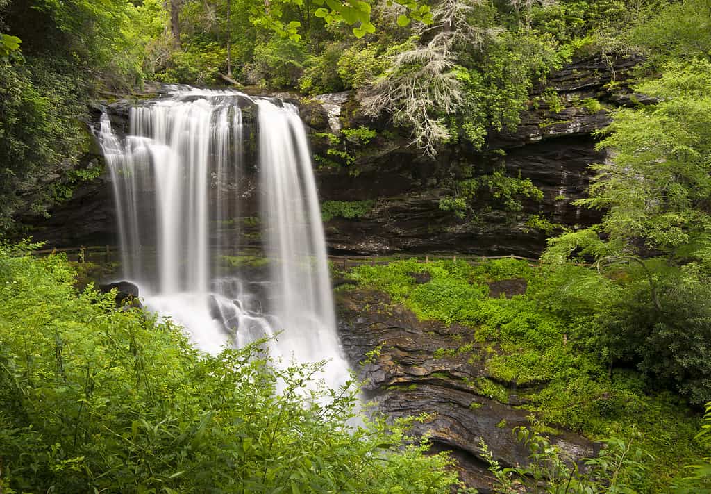 Dry Falls Highlands NC Waterfalls Nature Landscape Western North Carolina